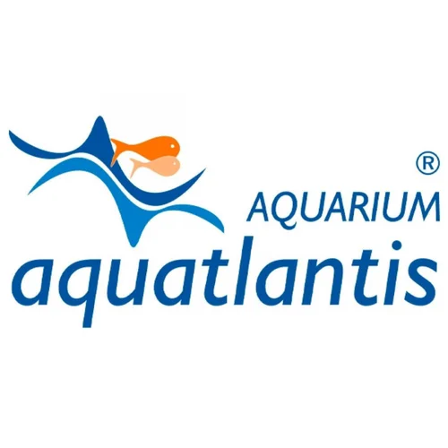 Parfait pour le jardin:Tube de rejet avec coude pour Biobox 2, AQUATLANTIS