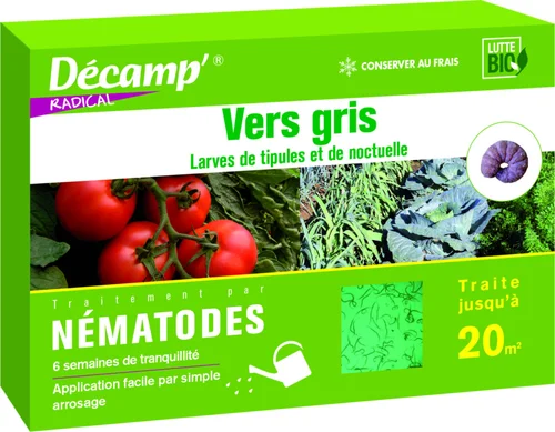 Extérieur moderne:Nématodes contre vers gris 20 m2