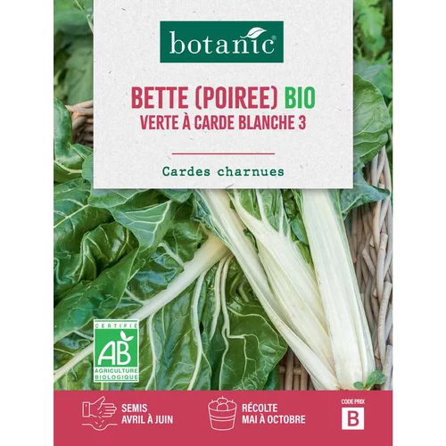 Bien utile au jardin：Graines de poirée verte à carde blanche 3 bio botanic® - graines à semer