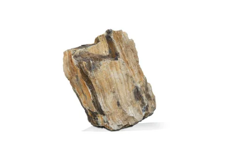 Moderne extérieur:Pierre décorative pour aquarium coloris marron Aquavie bois fossilisé - Taille S
