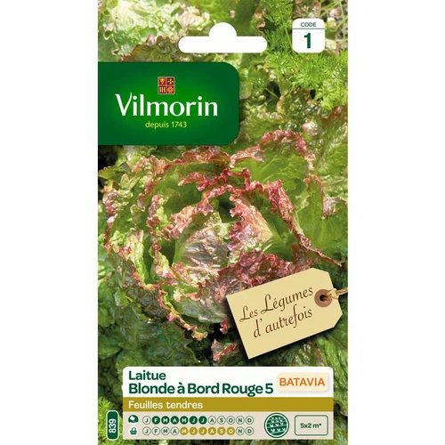 Simple pour le jardin：Laitue Batavia Blonde à bord rouge Vilmorin - graines à semer