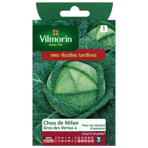 Utile pour l’extérieur：Graines de chou de Milan gros des vertus Vilmorin - graines à semer