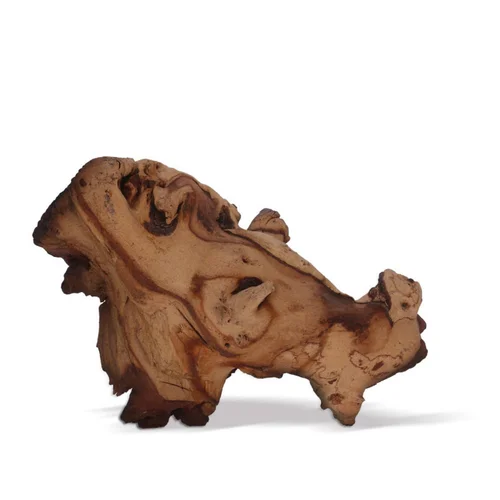 Une idée pour vos extérieurs：Racine décorative pour aquarium ou terrarium coloris marron Aquavie Mopani - Taille XL