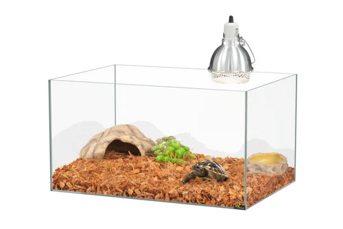 Une solution adaptée à l’extérieur：Kit pour bébé tortue terrestre coloris transparent Terratlantis - 65 x 45 x 35 cm