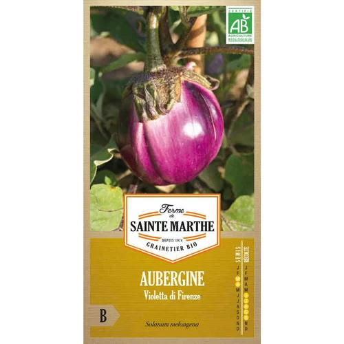 Déco pour le jardin：Graines d'aubergine violetta di firenze bio Ferme de Sainte Marthe - graines à semer