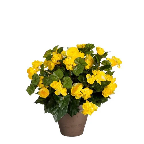 Confort jardin：Bégonia jaune artificiel en pot gris Edelman - Ø 36 x H 37 cm