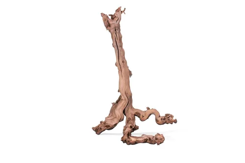 Extérieur nature:Racine pour terrarium coloris marron Aquavie Mopavigne - Taille XL