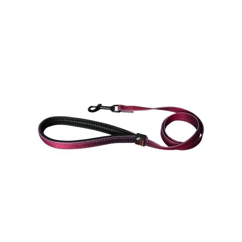Jardin & confort:Laisse chien nylon 25 mm / 100 cm bordeaux soie