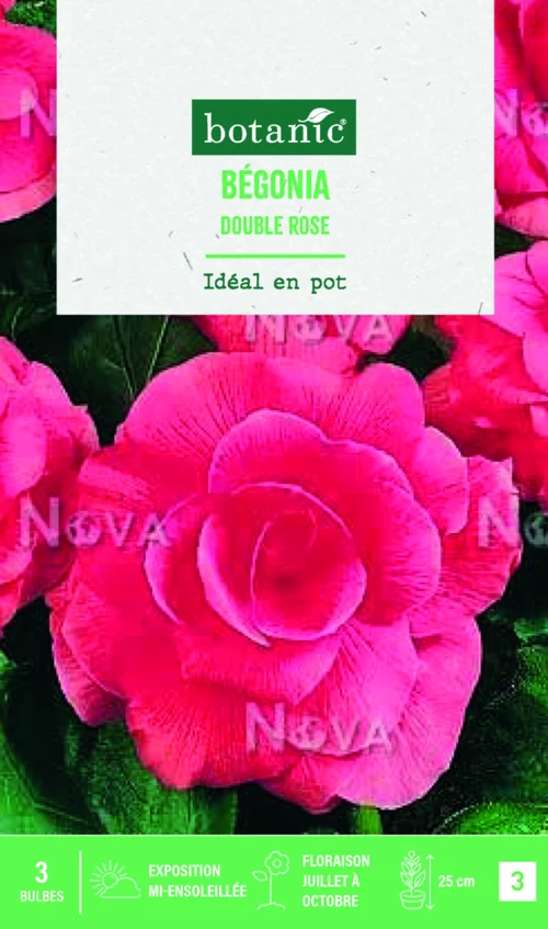 Pour transformer votre jardin:Bulbes de fleurs Bégonia double rose botanic® - 3 bulbes