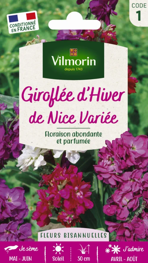 Extérieur pratique:Graines de Giroflée d’hiver de Nice variée Vilmorin - graines à semer