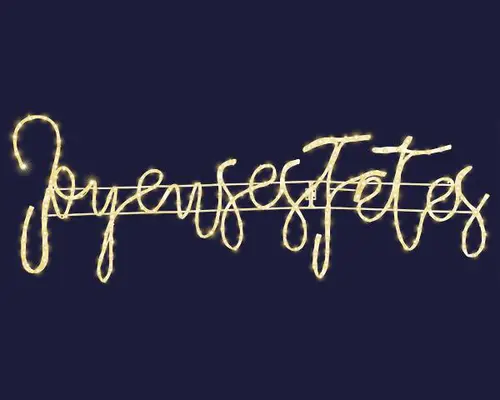 Une solution pratique pour l’extérieur：Cordon lumineux Joyeuses Fêtes à 242 micro-LED blanc chaud et câble argent - 107 x 36 cm