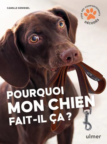 Au service de vos extérieurs：Livre Pourquoi mon chien fait-il ça ? Aux Éditions Ulmer - 96 pages