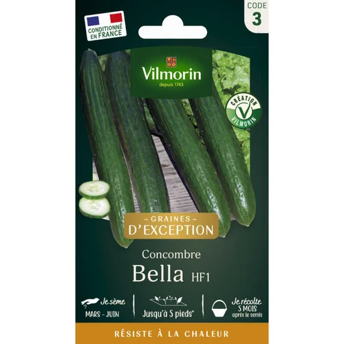 Pour la maison et l’extérieur：Sachet de semences potagères graines de concombre bella