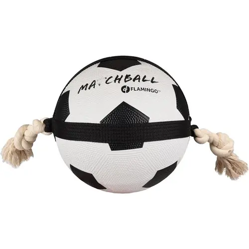 Solution extérieur：Jouet pour chien Flamingo Actionball foot - Ø 22 cm