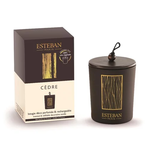 Inspiration jardin：Bougie déco parfumée et rechargeable Cèdre Esteban - 180 g
