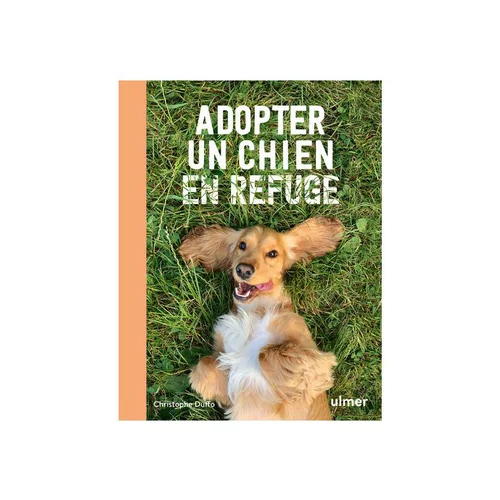 Extérieur accessoire：Livre Adopter un chien en refuge aux Éditions Ulmer - 144 pages