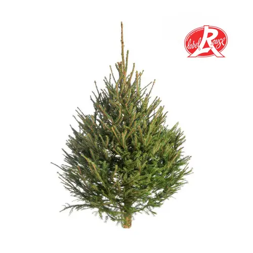 Jardin & équipement:Sapin de Noël naturel coupé Label Rouge Picea Excelsa - de 125 à 150 cm