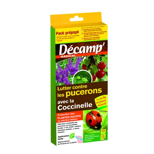 Pour un jardin accueillant：Coccinelles Adalia Bipunctata carnet