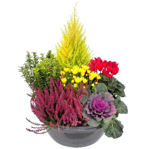 Bien pratique à l’extérieur：Composition D'Exterieur Theme rouge - La coupe de 45 cm