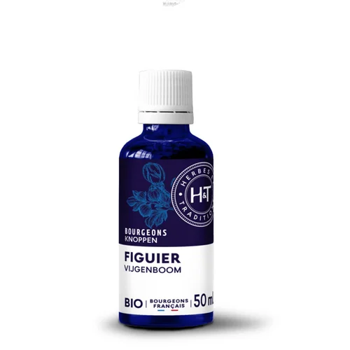 Pour un extérieur bien équipé：Complément alimentaire gemmo macérat figuier bio Herbes et Traditions - 50 ml