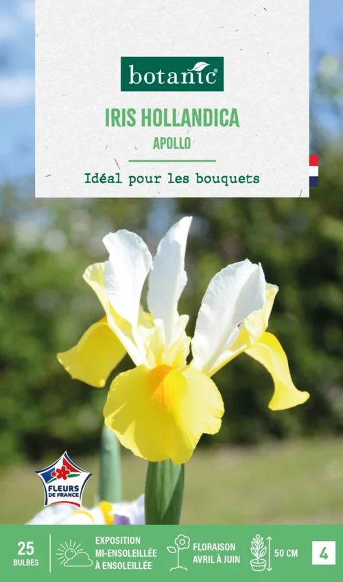 L’essentiel pour le jardin:Iris hollandica apollo botanic® - 25 bulbes