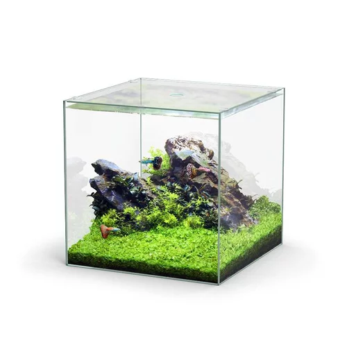 À découvrir au jardin：Aquarium cuve nue Kubus - 54L