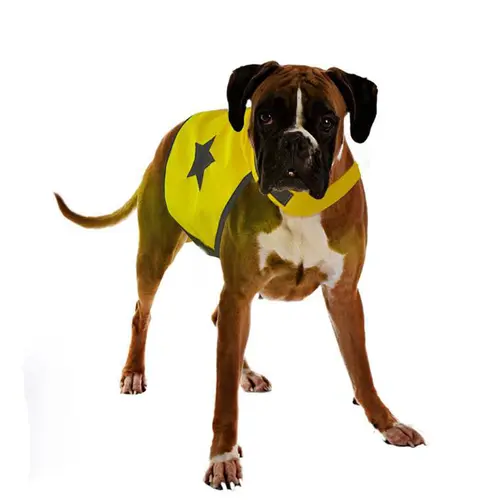 Pour transformer votre jardin：Gilet de sécurité jaune fluo pour chien 56 cm
