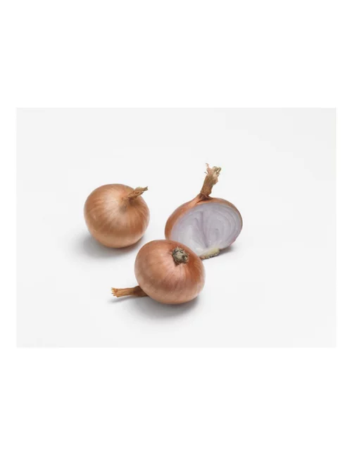 Jardin facile:Échalote Red sun AB bio calibre 7/15 botanic® bulbes à planter - Le filet de 250 g