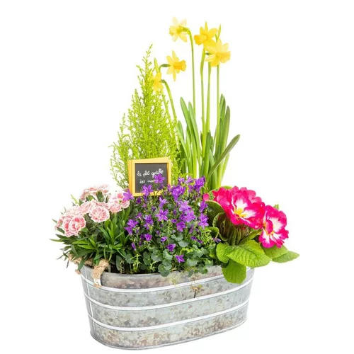 Extérieur déco：Composition de narcisses et campanules - La bassine en zinc blanchie