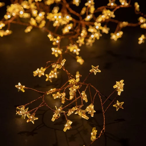 Jardin et nature：Guirlande lumineuse micro LED à lumière fixe blanc à piles - 2 m