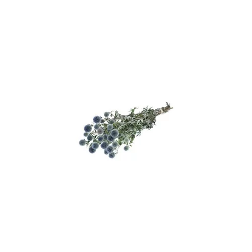 Jardin solution:Botte de fleurs séchées coloris bleu chardon naturel
