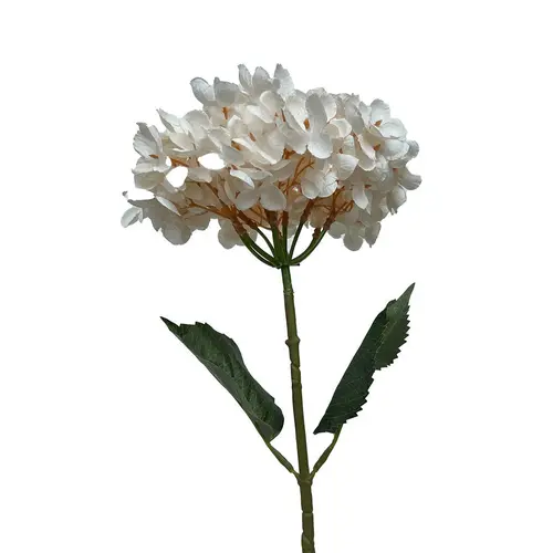 Espace vert moderne：Tige d’hortensia blanche en papier aspect fleur séchée Naturalys - 65 cm