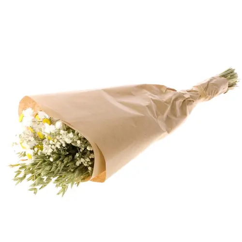 Extérieur tendance:Bouquet de fleurs séchées mix blanc taille S - Ø 13 x H 50 cm