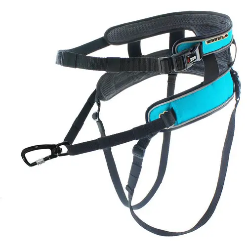 Pour profiter du jardin：Baudrier pour canicross coloris bleu I-Dog Canyon ALM - Taille unique