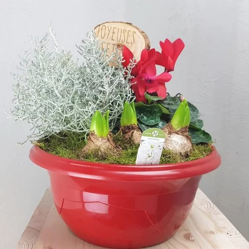 Équipement extérieur:Composition d’automne rouge pour extérieur - La coupe de 27 cm