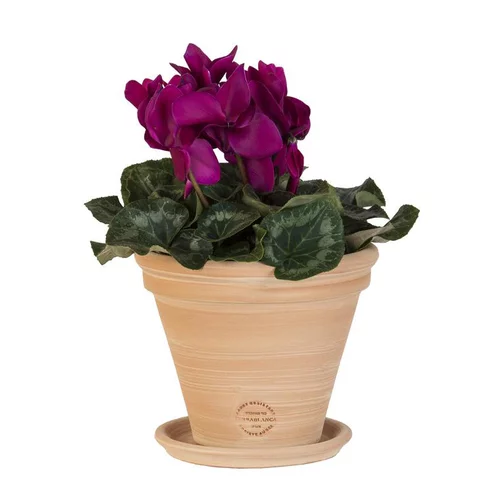 Sélection pour votre jardin:Pot Conica en terre cuite claire D34x H32