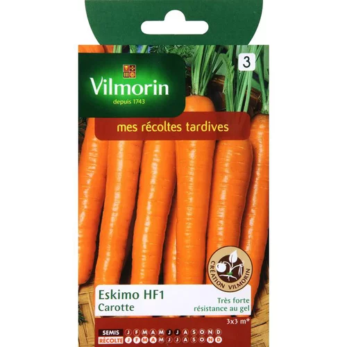 Pratique jardin：Graines de carotte eskimo HF1 Vilmorin - graines à semer