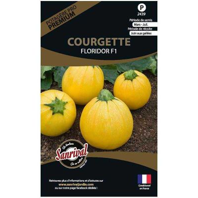 Graines potagères premium courgette (Ronde jaune Floridor)