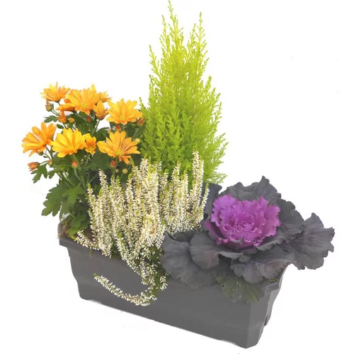 Tendance jardin：Jardinière d'automne orange - La jardinière de 40 cm