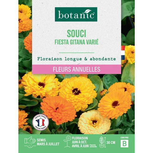 Un atout pour le jardin：Graines de fleurs de Souci fiesta gitana varié botanic®