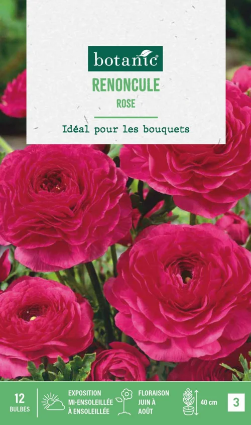 Pour vos envies de jardin：Renoncule coloris rose botanic® - 12 bulbes