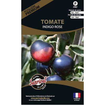 Graines potagères premium tomate (Indigo rose)
