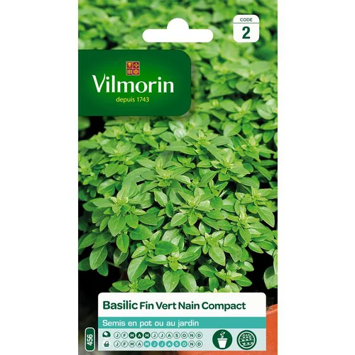 Idéal au jardin:Graines de basilic fin vert nain compact Vilmorin - graines à semer