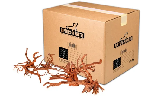 Style pour le jardin:Décoration pour aquarium en bois racine araignée Reptiles Planet - Taille M (26 à 35 cm)