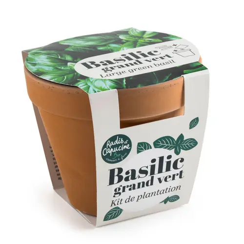 Idée extérieure：Kit de semence potager pot terre cuite antique basilic grand vert bio Radis & Capucine