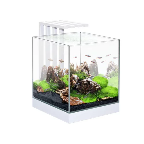 Pour compléter votre espace extérieur:Aquarium équipé Nexus 25 LED blanc - 22L