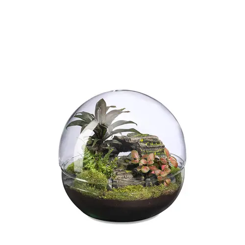 Moderne au jardin：Terrarium autonome Mini Monde Landscape botanic® - taille L