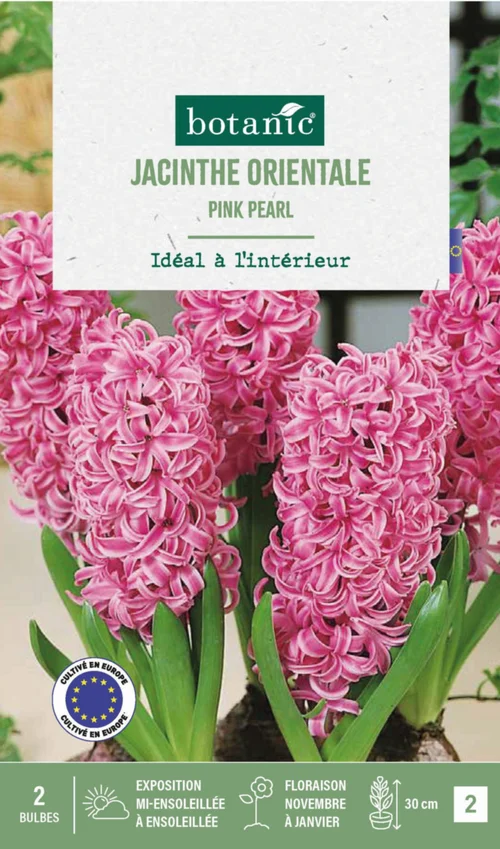 Pour un extérieur plus pratique：Jacinthe intérieur pink pearl botanic® - 2 bulbes