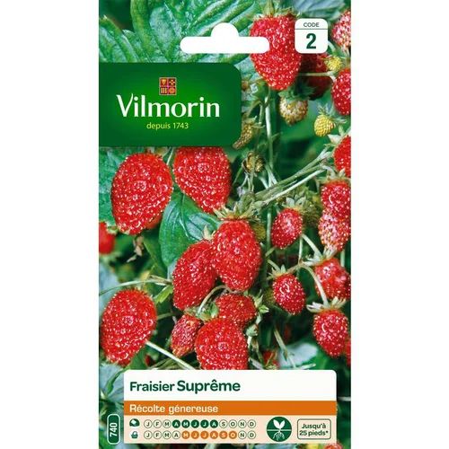 Pour votre quotidien:Fraisier Suprême Vilmorin - graines à semer