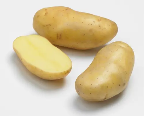 Bien dehors：Sachet de pommes de terre delikatesse calibre 25/32 - 3 kg